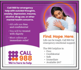 Branded Product Preview